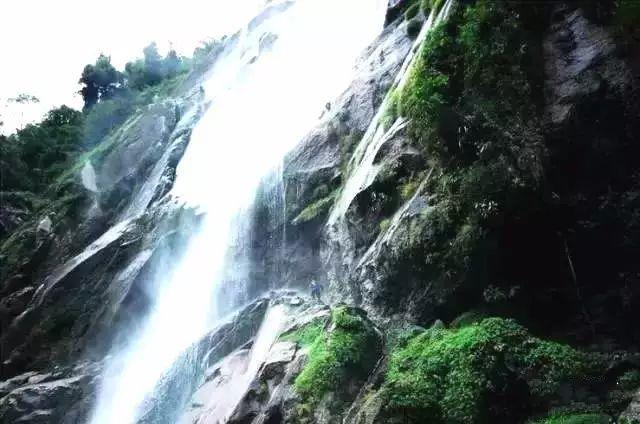 逃离森林湖畔